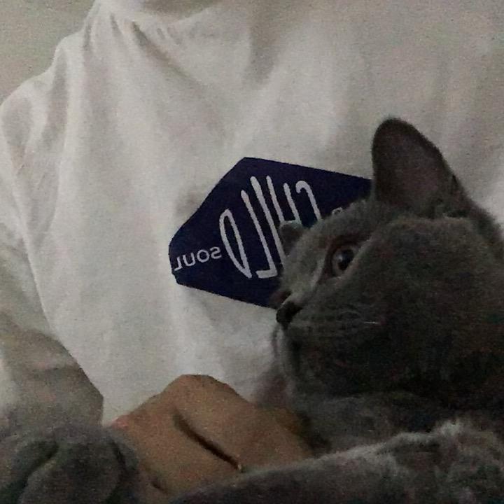 不诉