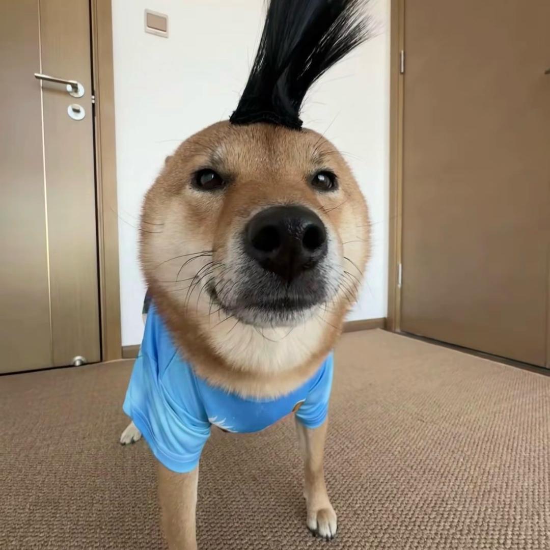 早早早