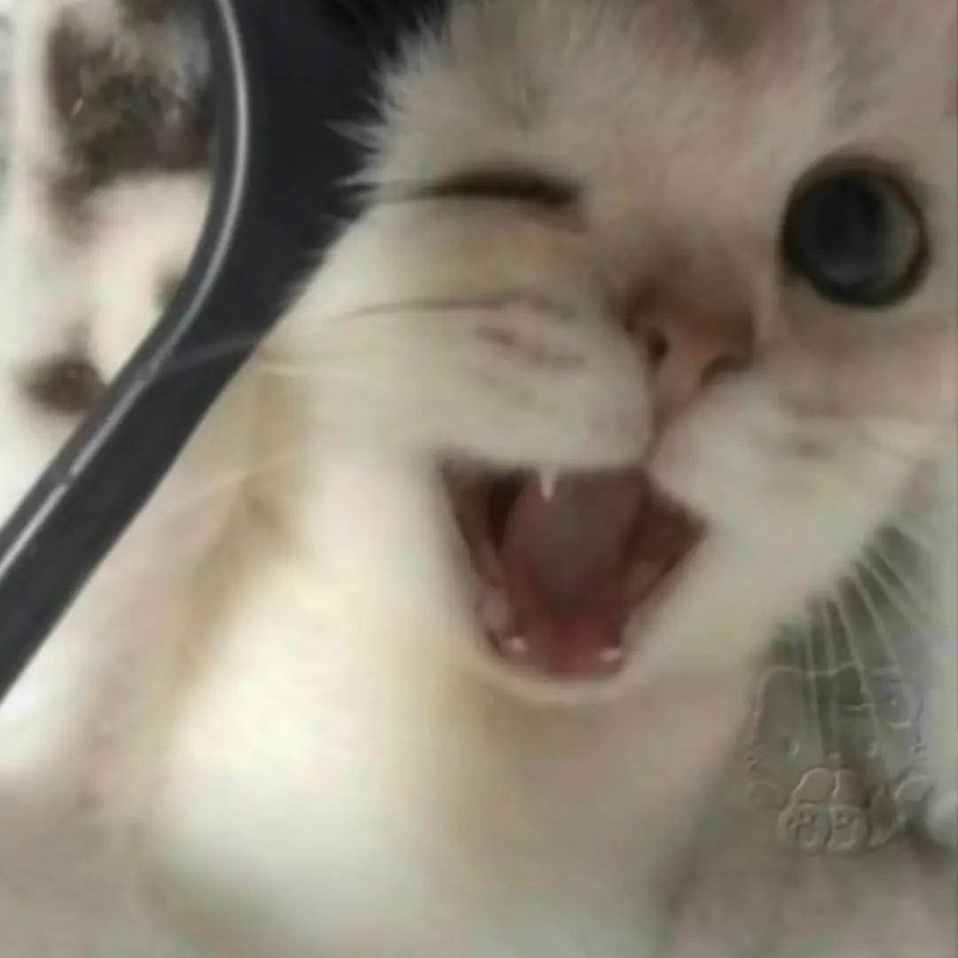 十斤