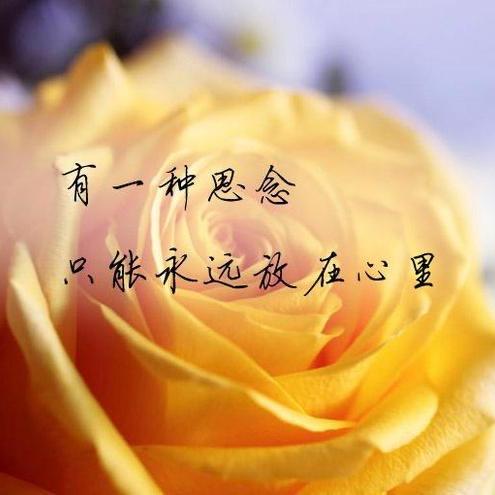 🌼丽～华🌼