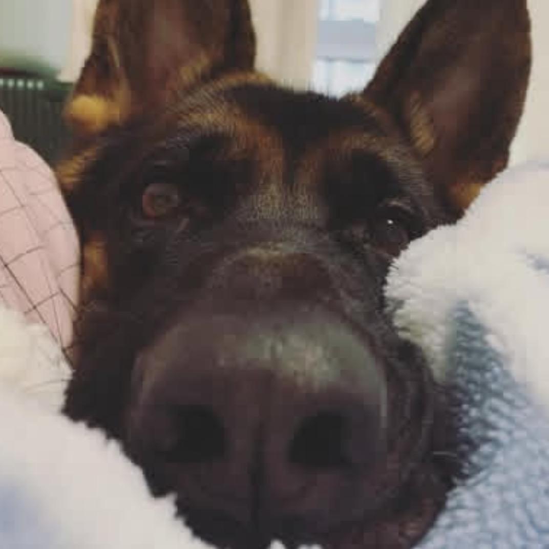 松子的幸福生活🐿️