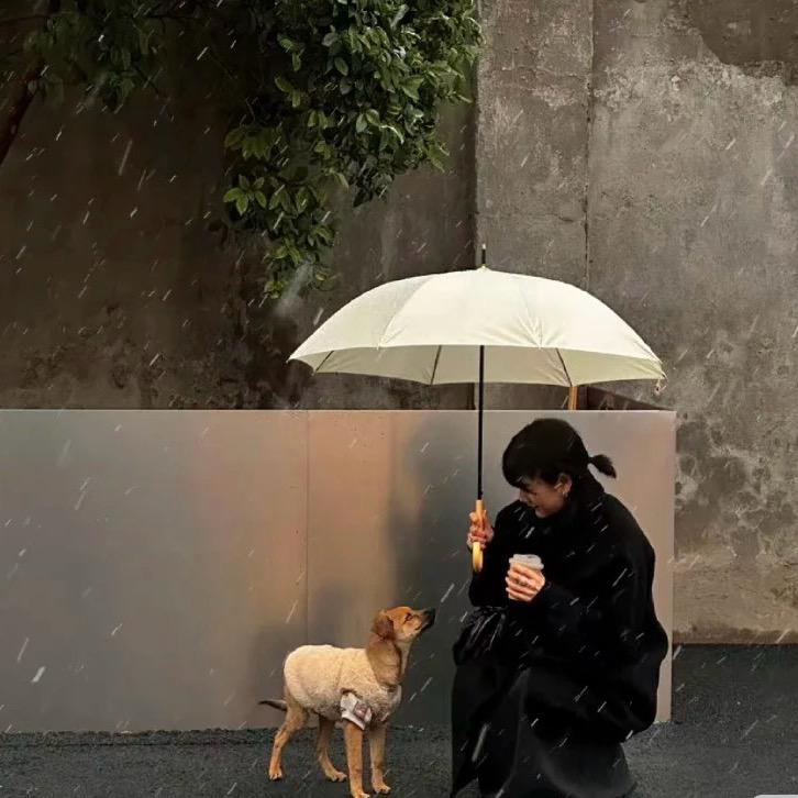 赎回月光