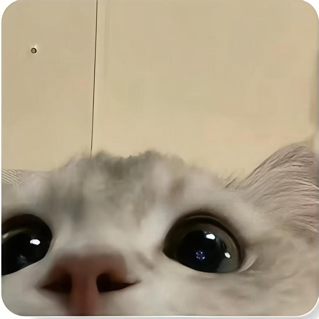 元气发光
