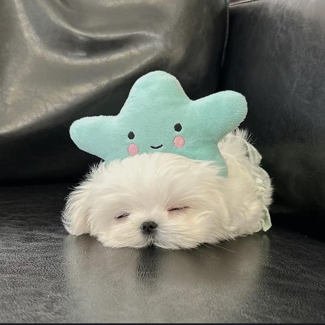 不喜欢睡觉