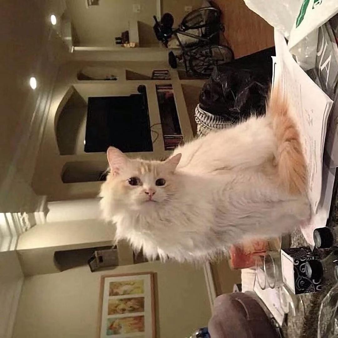 熙熙吃不饱