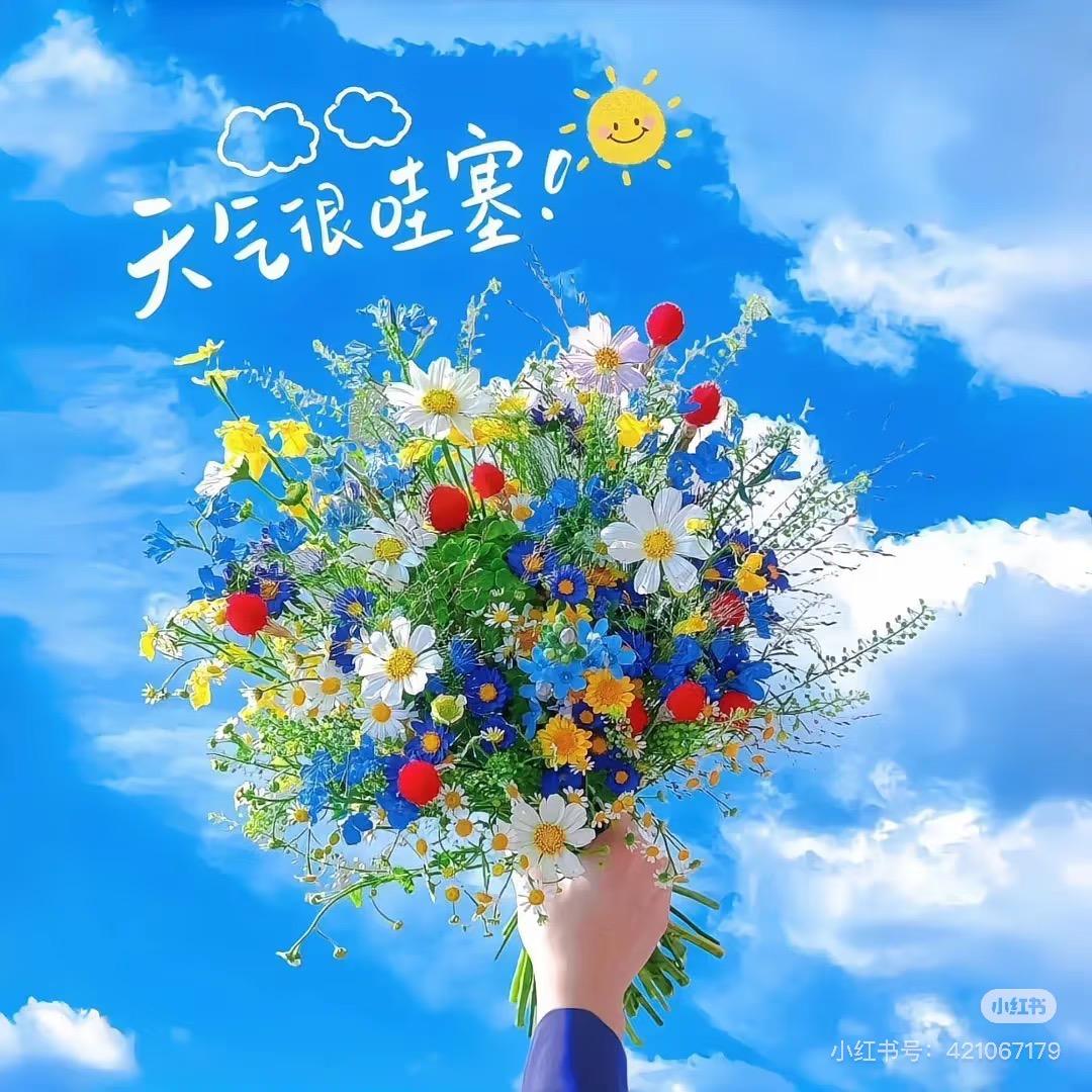 妍儿的日常