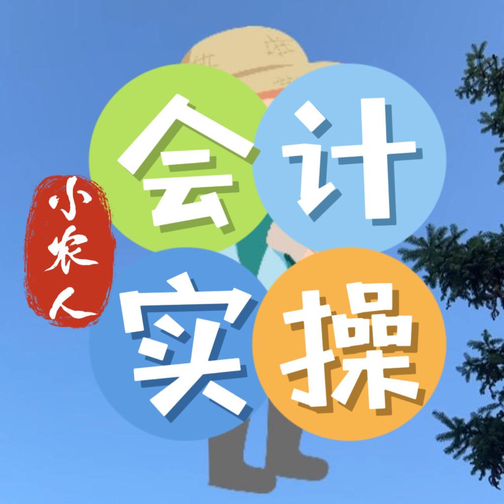 小农人-会计实操