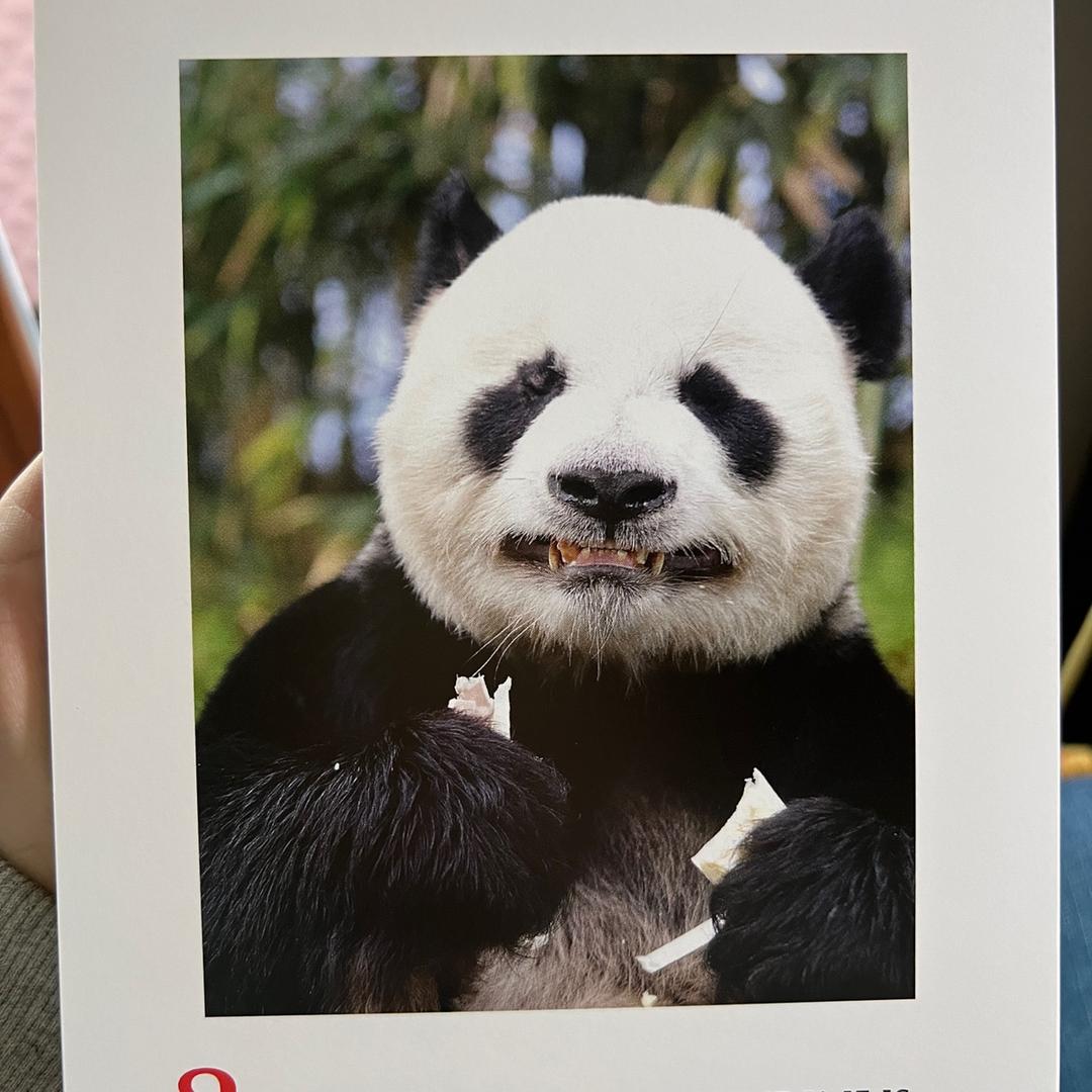 小黄蓝kkk