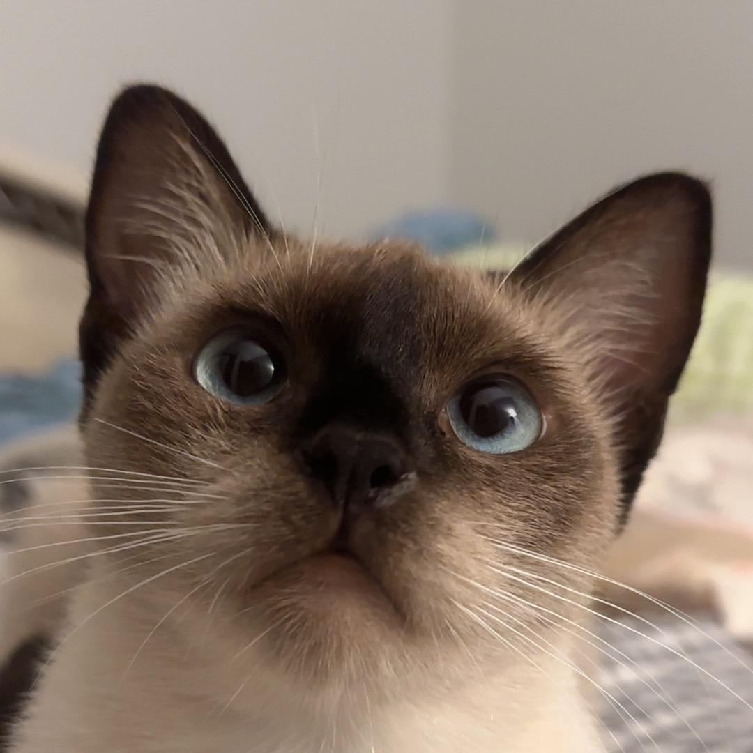 瑞g