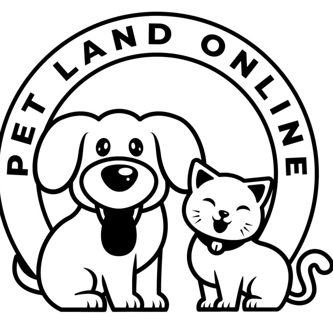 春风十里吹飞你👉🏿