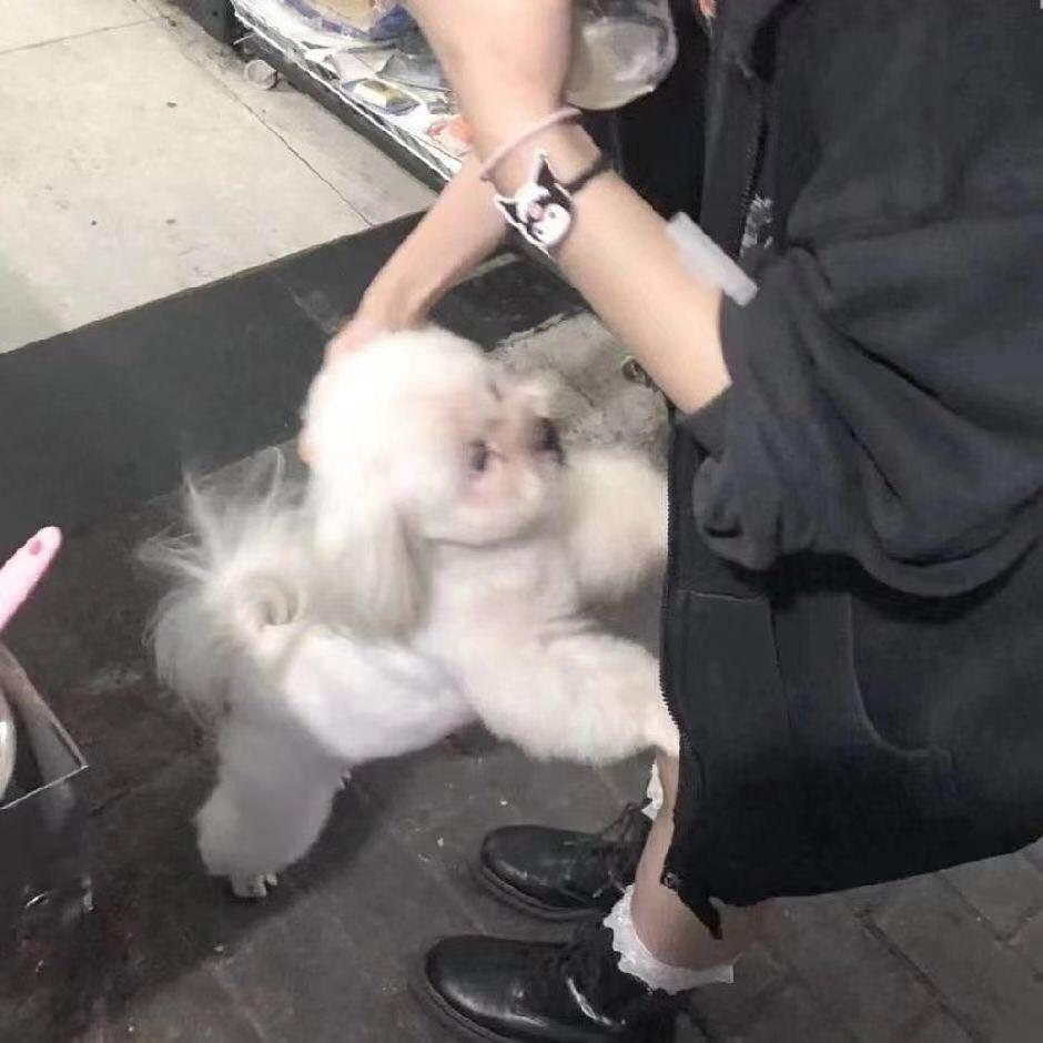 小Y.