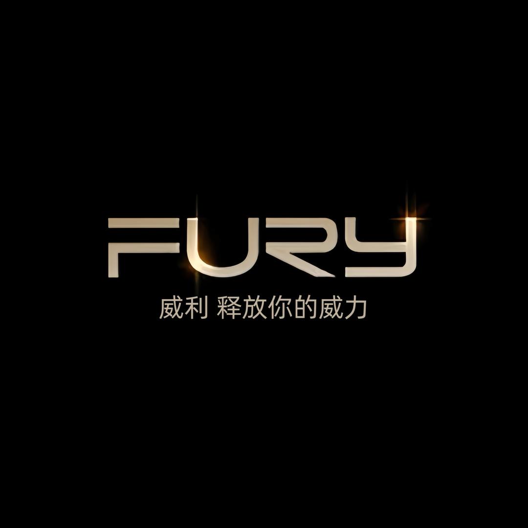 FURY威利球杆