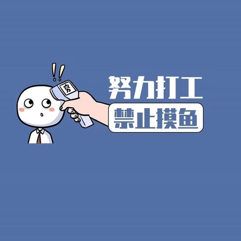 白菜优选