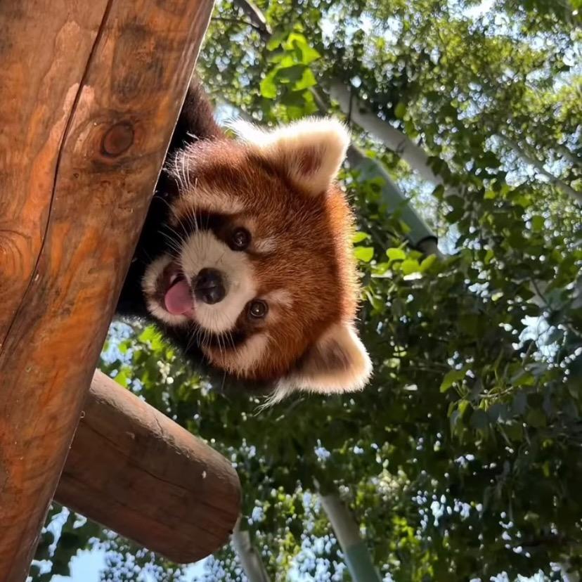 周口野生动物世界门票分享家