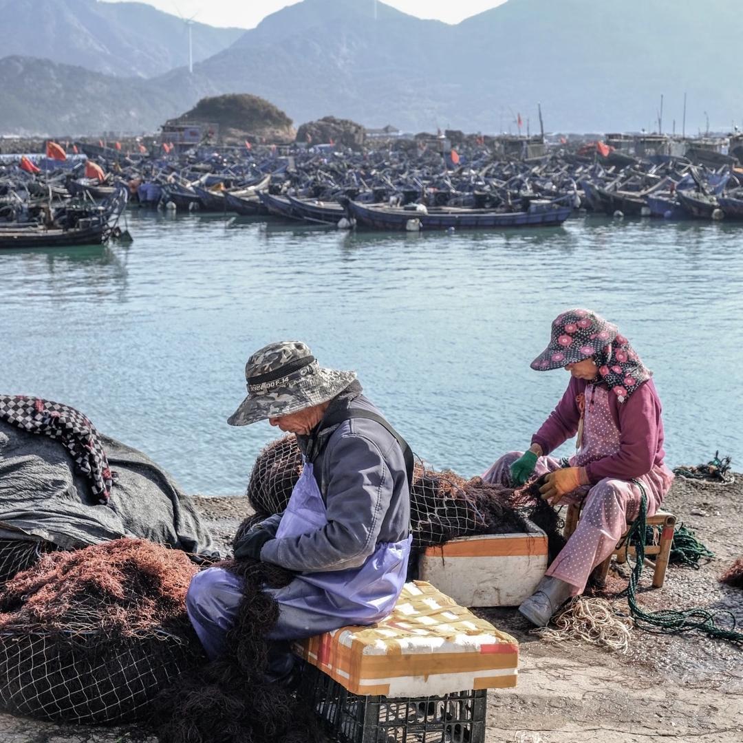 干货海味，三斑海马批发