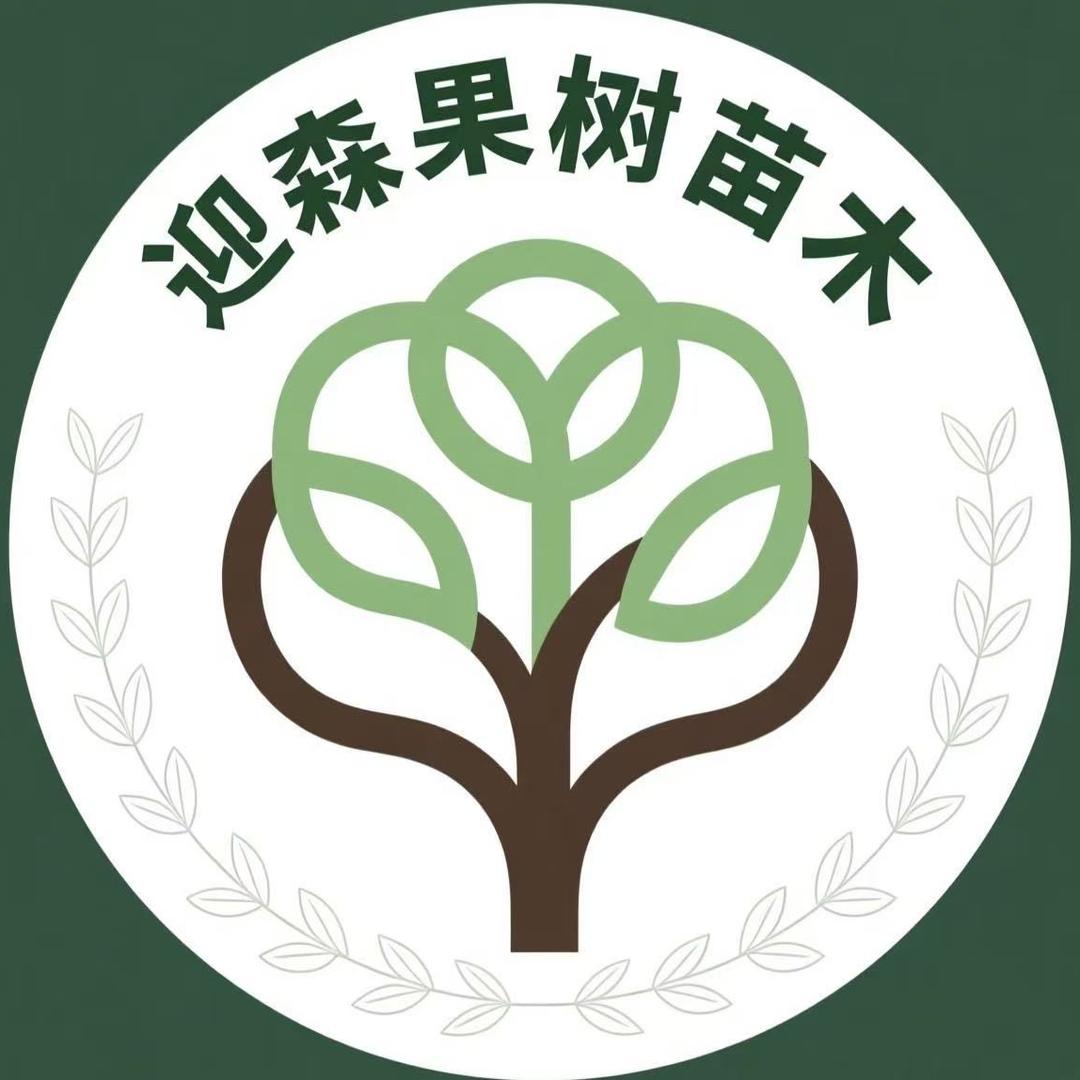 迎森果树苗木专营店授权号