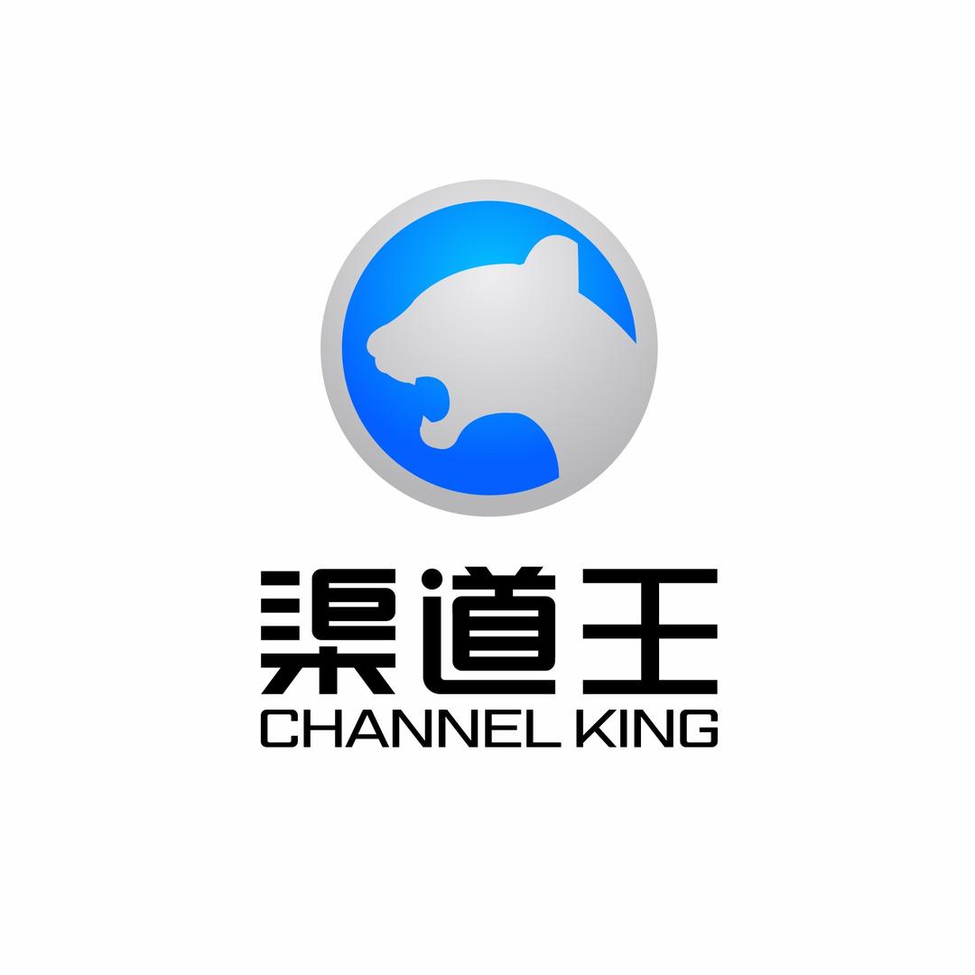 渠道王营销策划