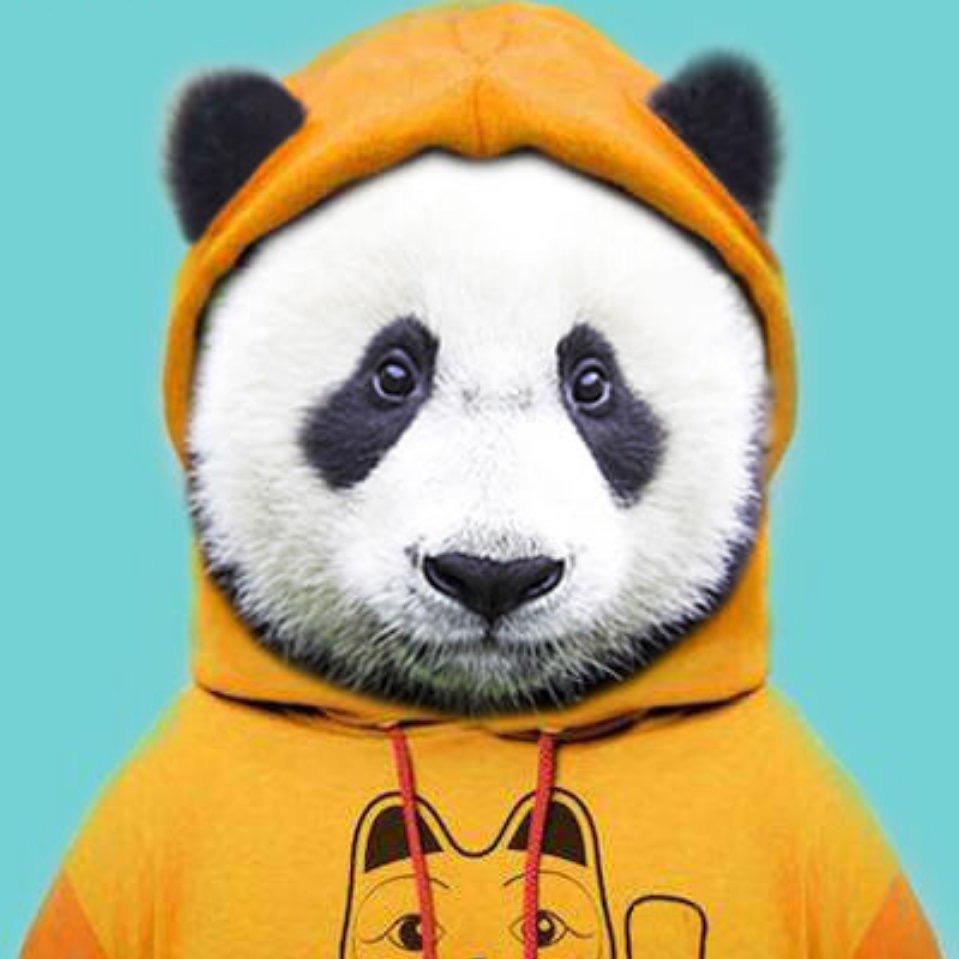 举个栗子