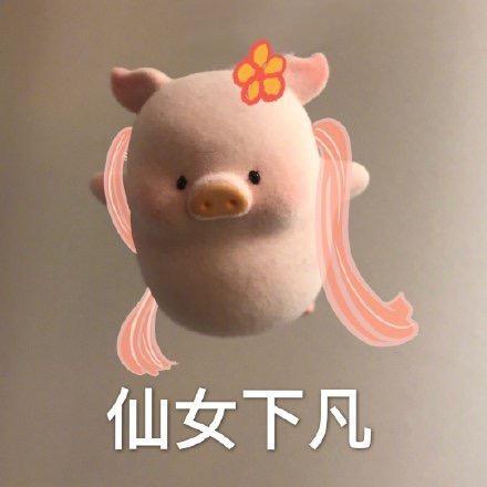 方木木