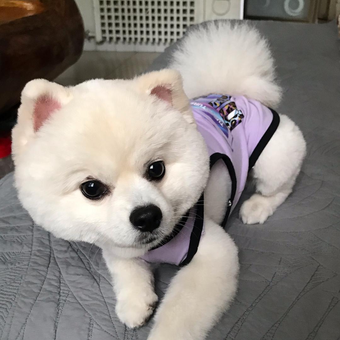 阿玲