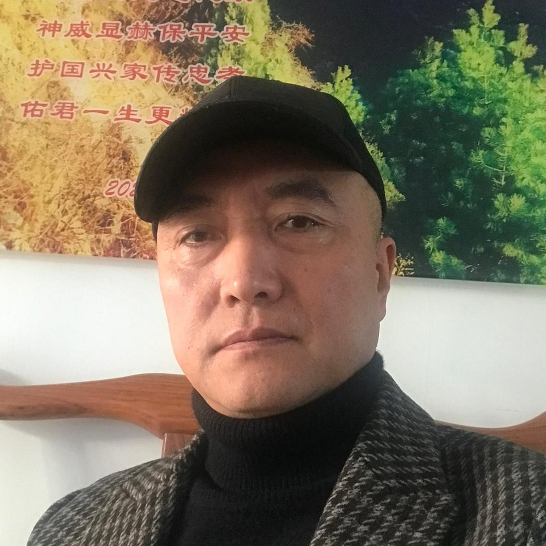 零碳发电（二氧化碳发电）