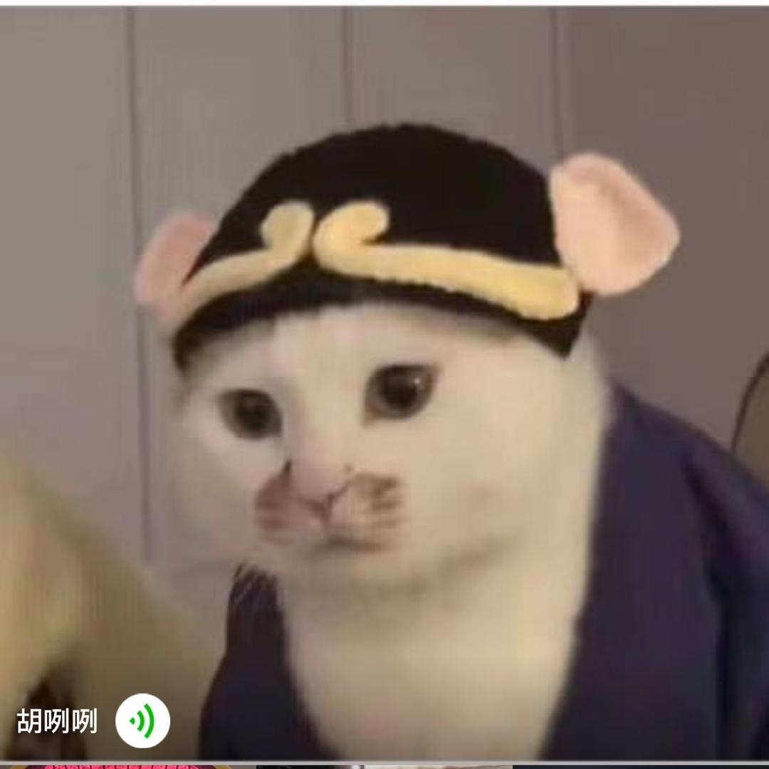纯真烂漫的瑶姐头像