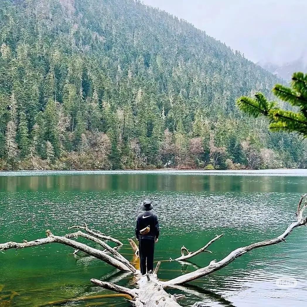 月亮在心里