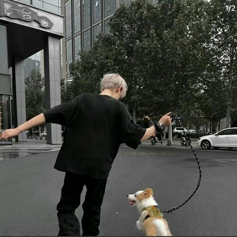 呼呼