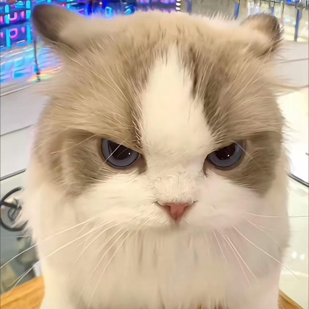 🧩思ki