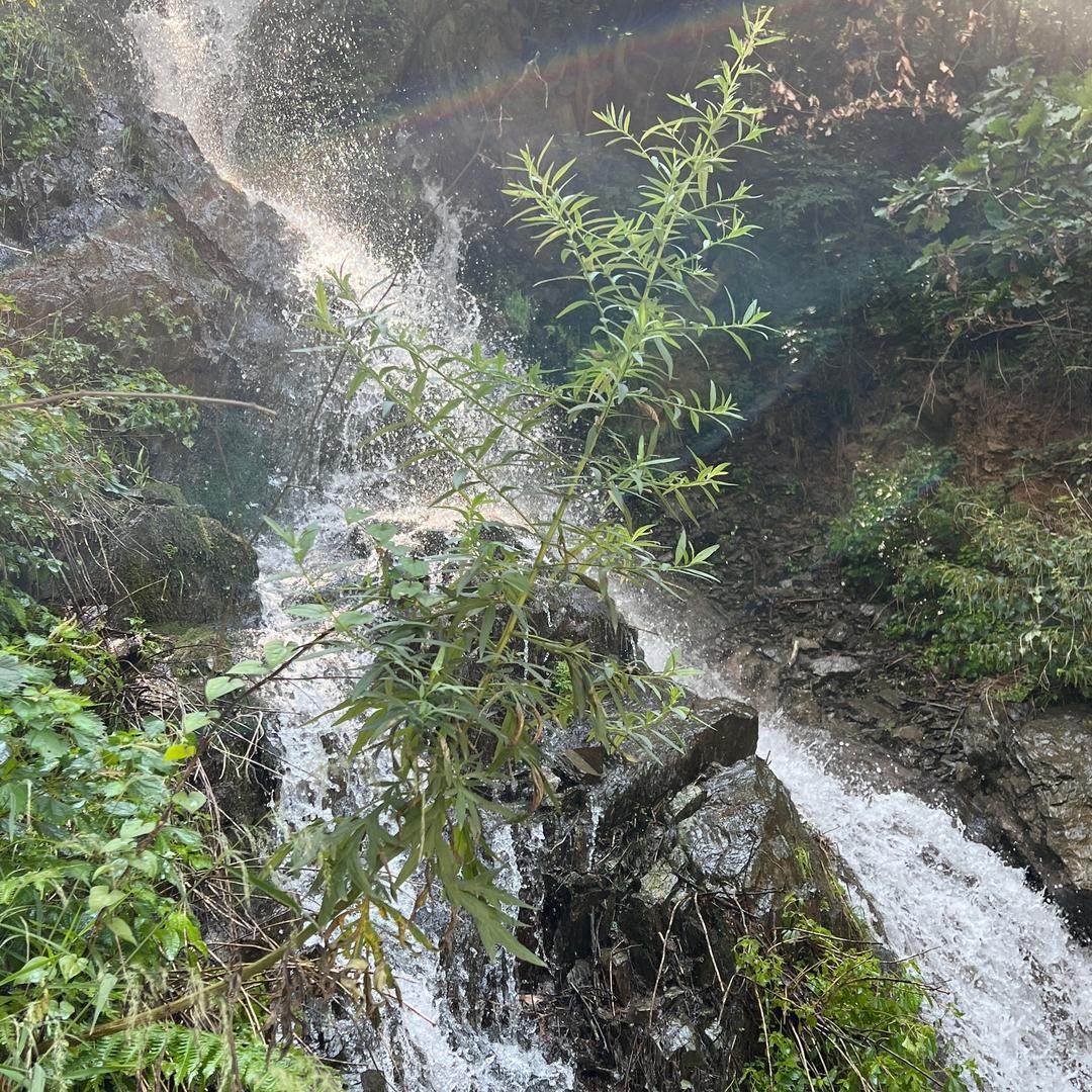 是东东啊