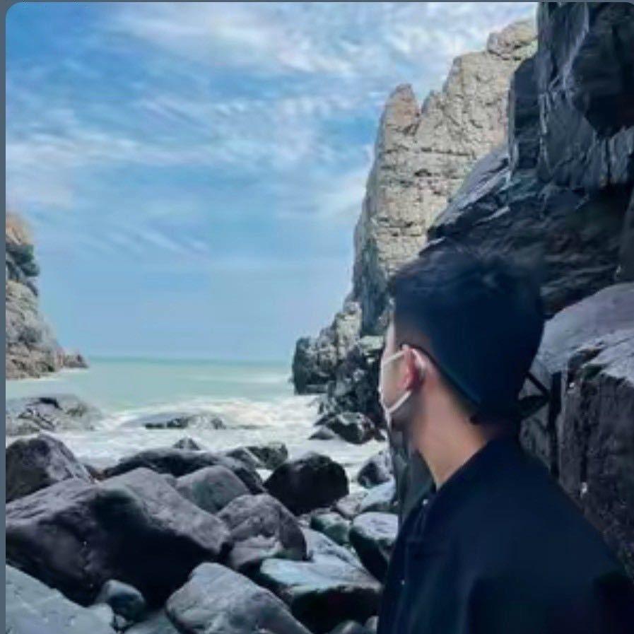 鲨鱼
