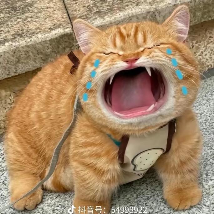 泉水滴答滴〖胡吊扯版〗