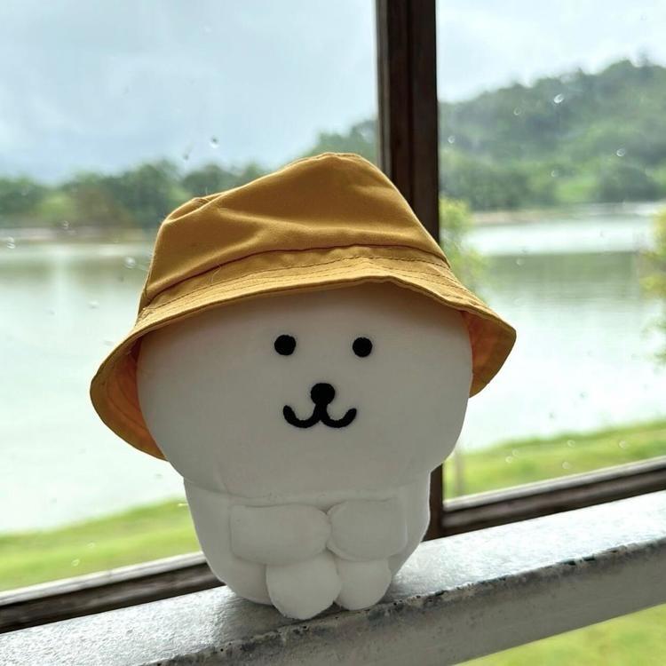 百货无货源