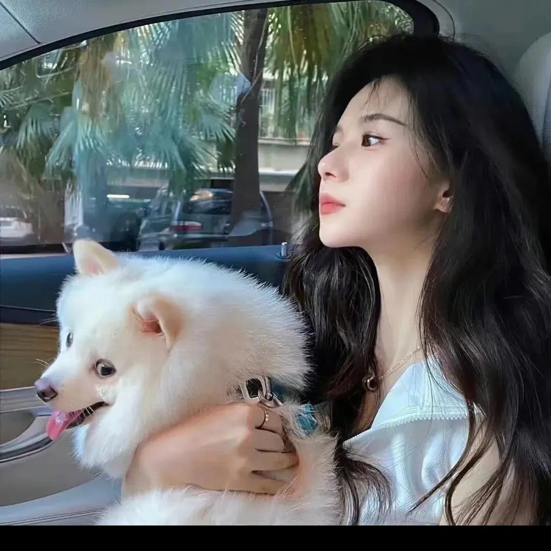 哈密瓜•tui 11分