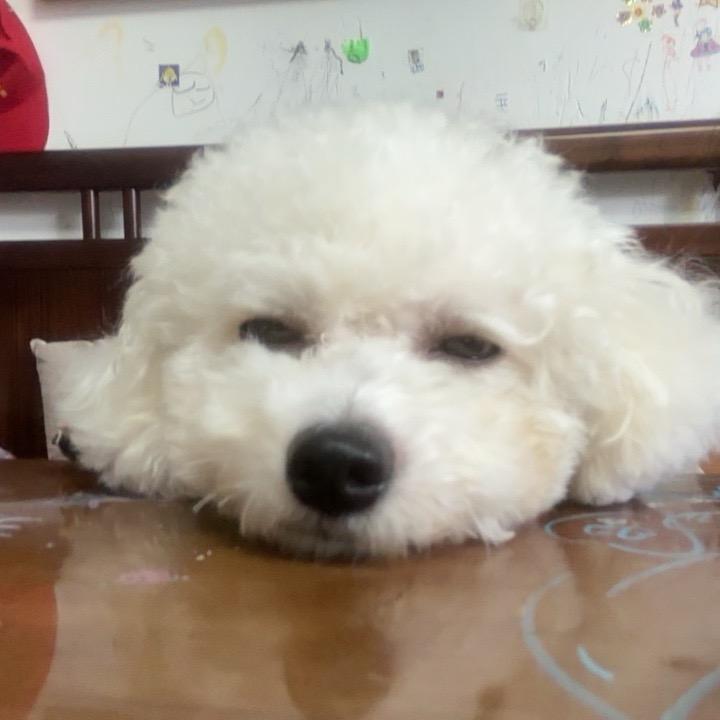 是雪饼不是旺旺雪饼