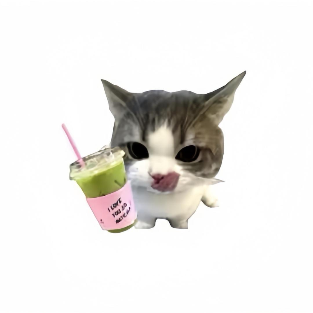Marhcc