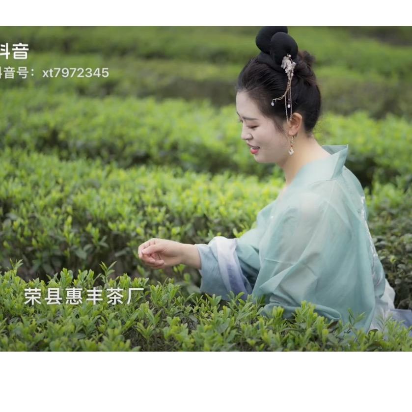 小汤爱喝茶