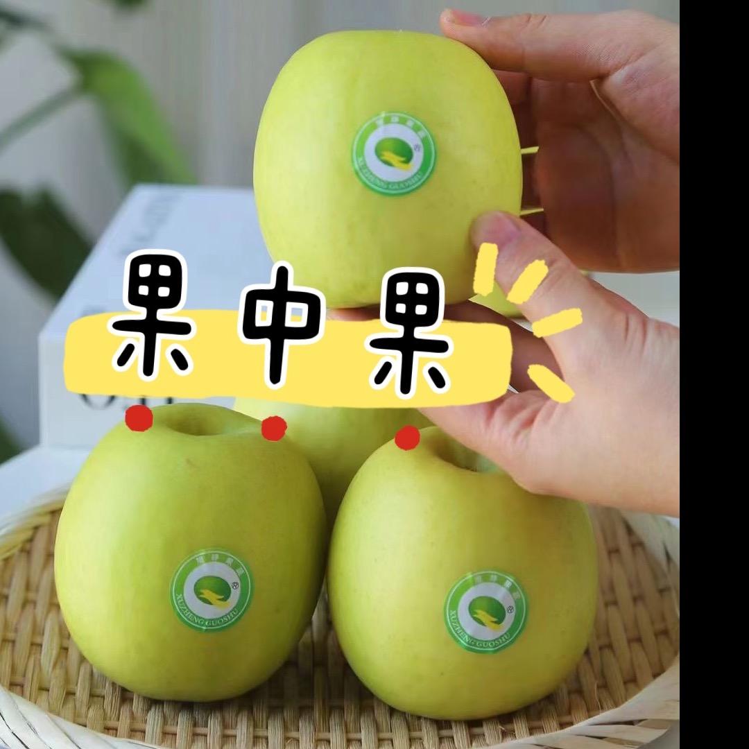 白水县果中果家庭农场