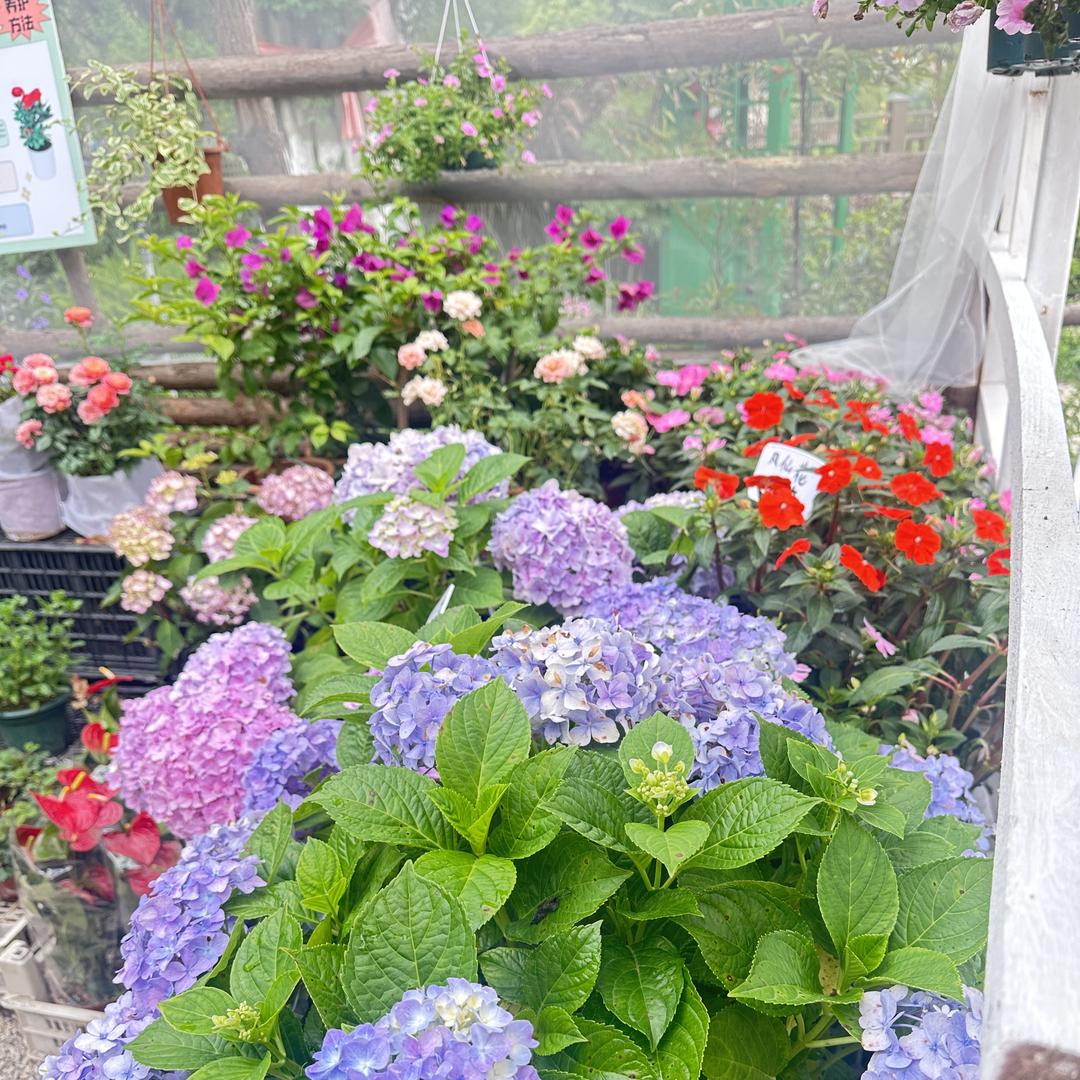 泉州市丰泽区东海街道陈建发鞋厂（个体工商户）