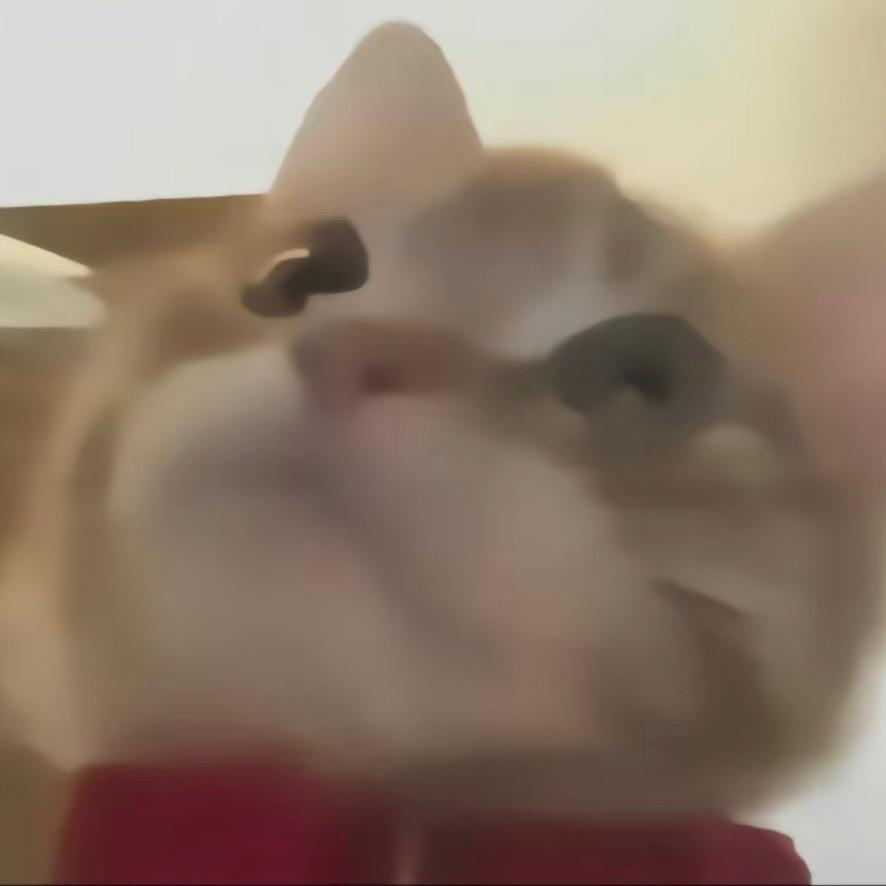 优惠嘉