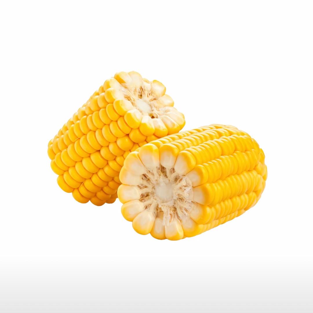别骗我小蝌蚪