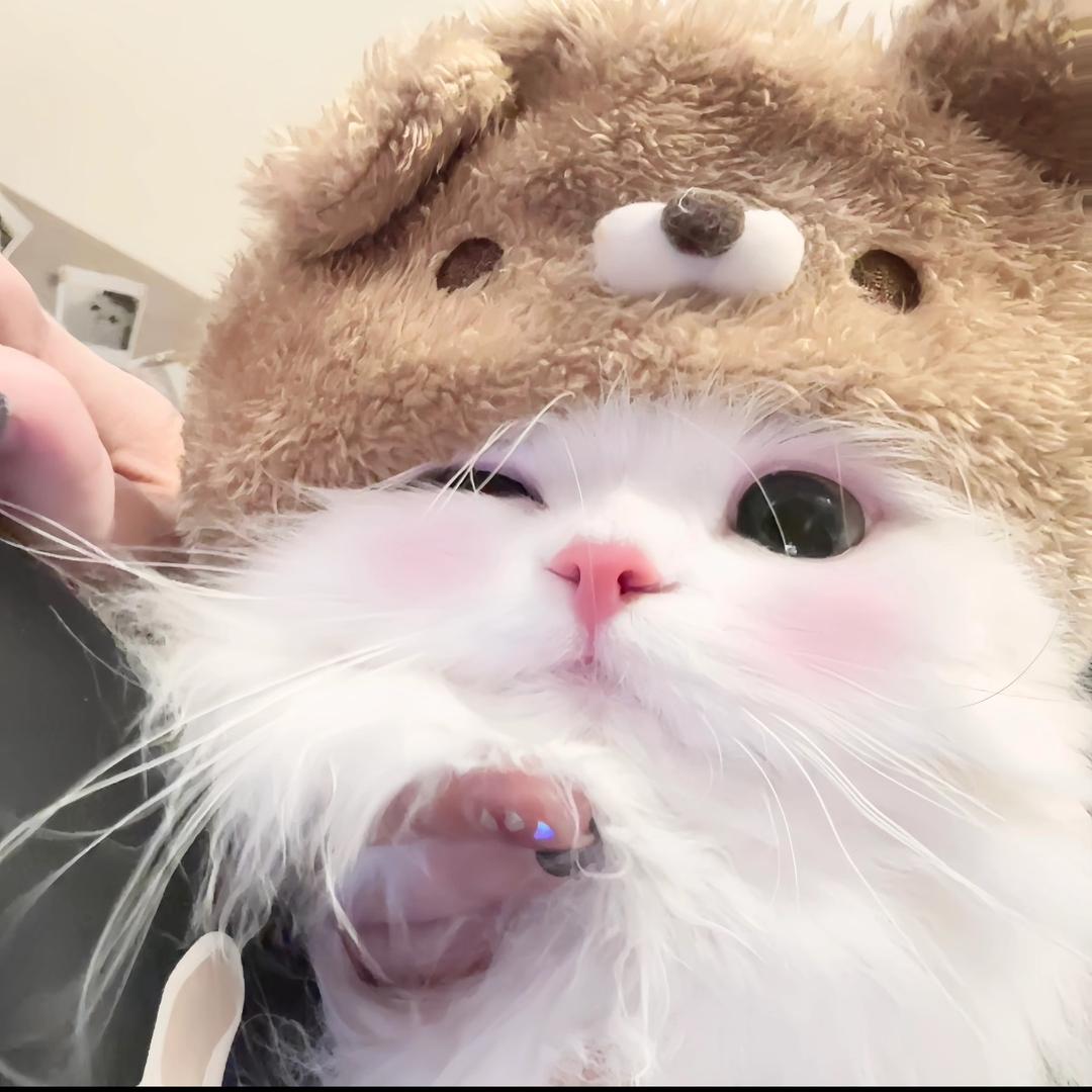烦4噜