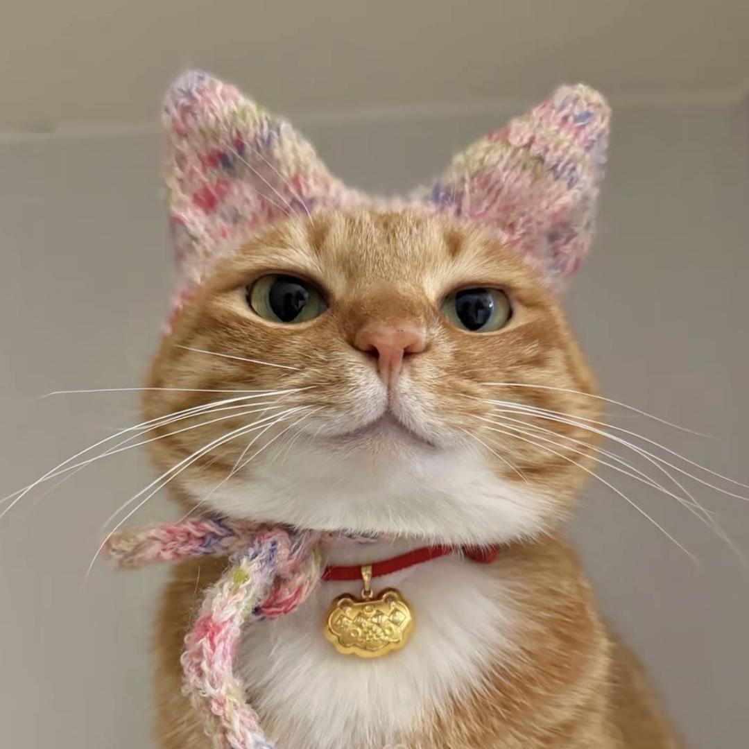 三只猫潮玩娃衣