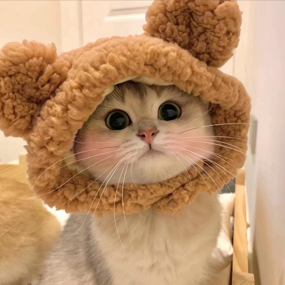 草莓啵啵