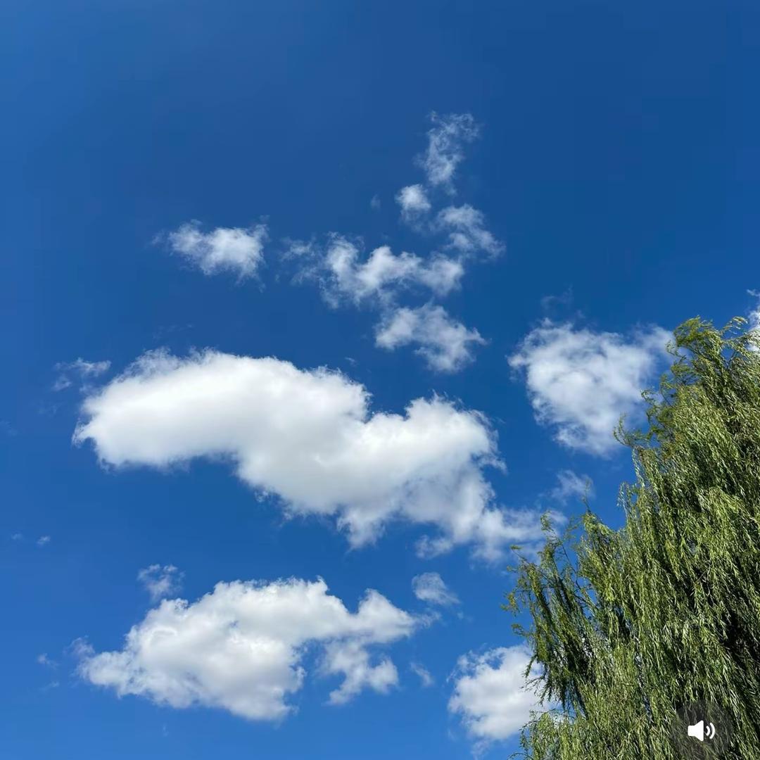 无烟无尘焚金炉