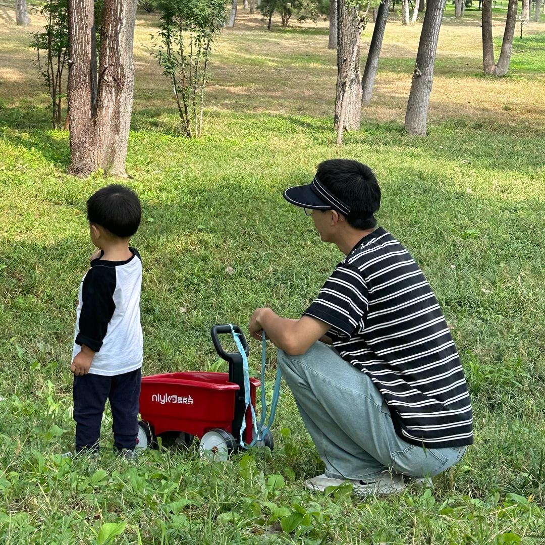 重生之我在董家倒插门