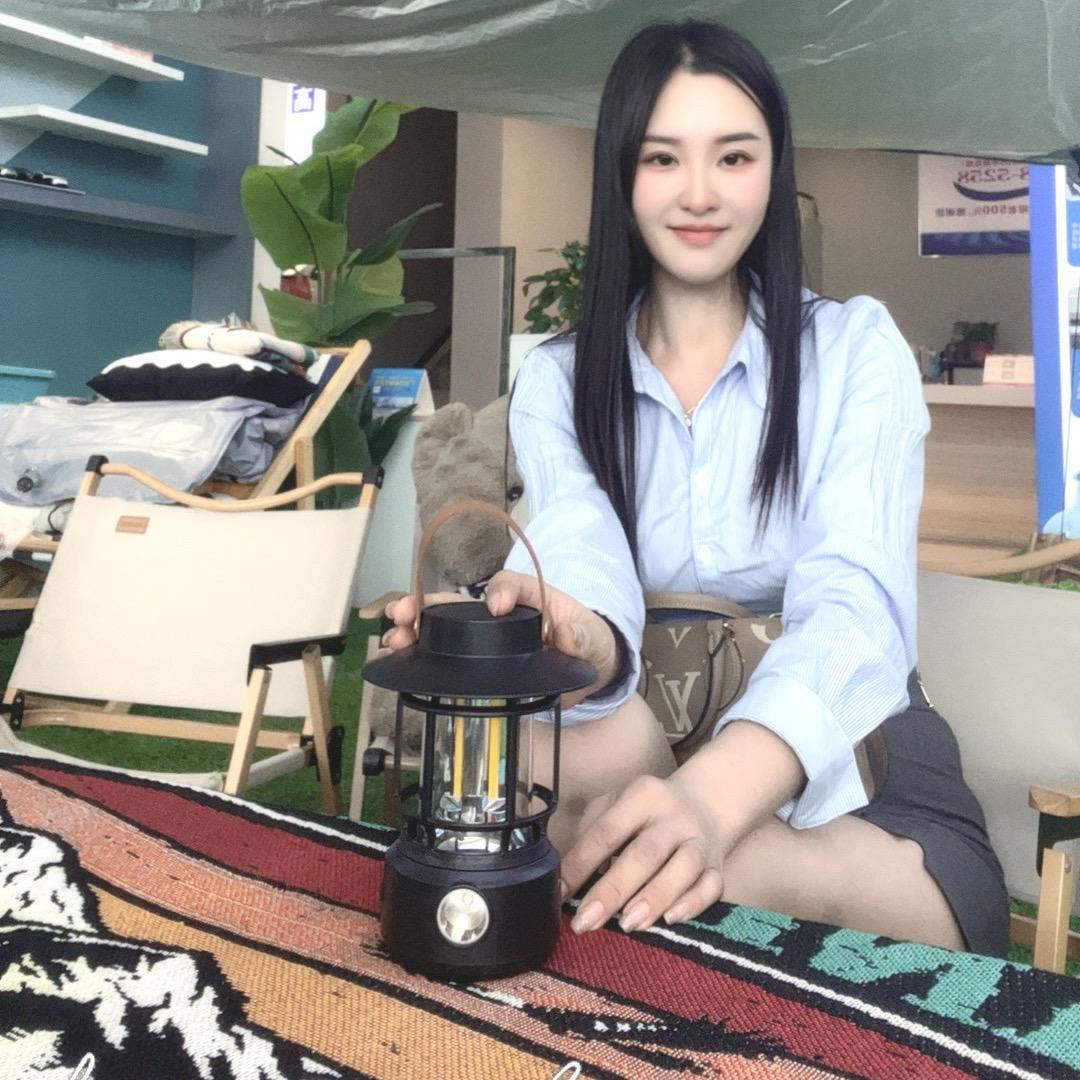何家大小姐