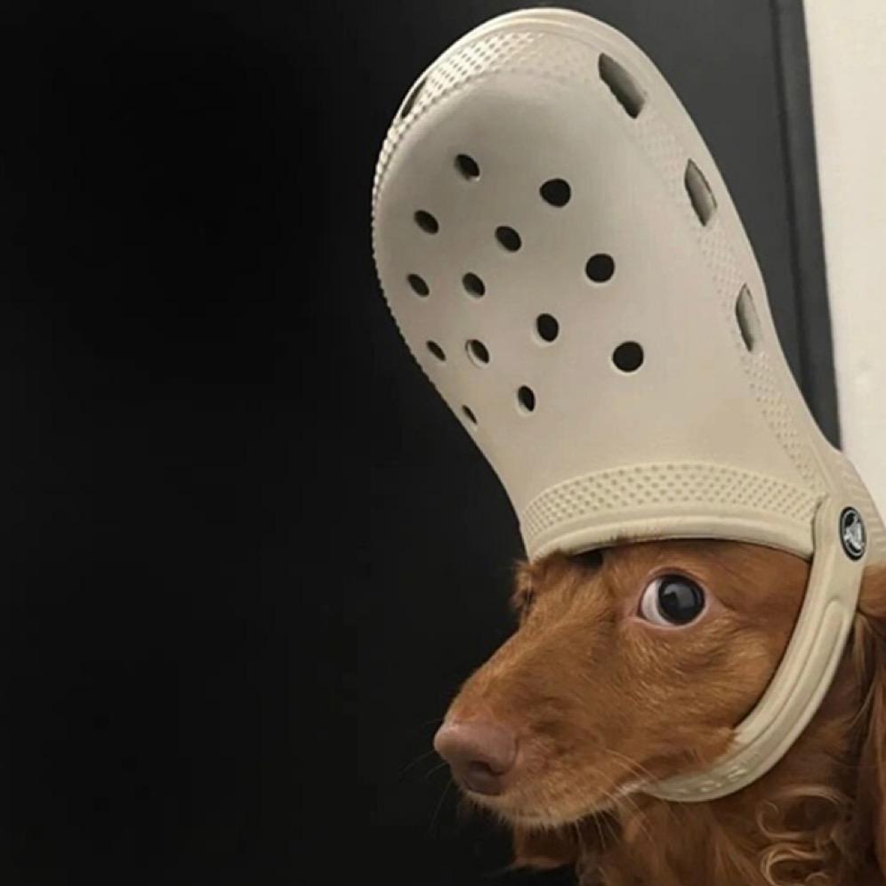 霸道总裁公蟑螂来寻他的小母蟑螂娇妻