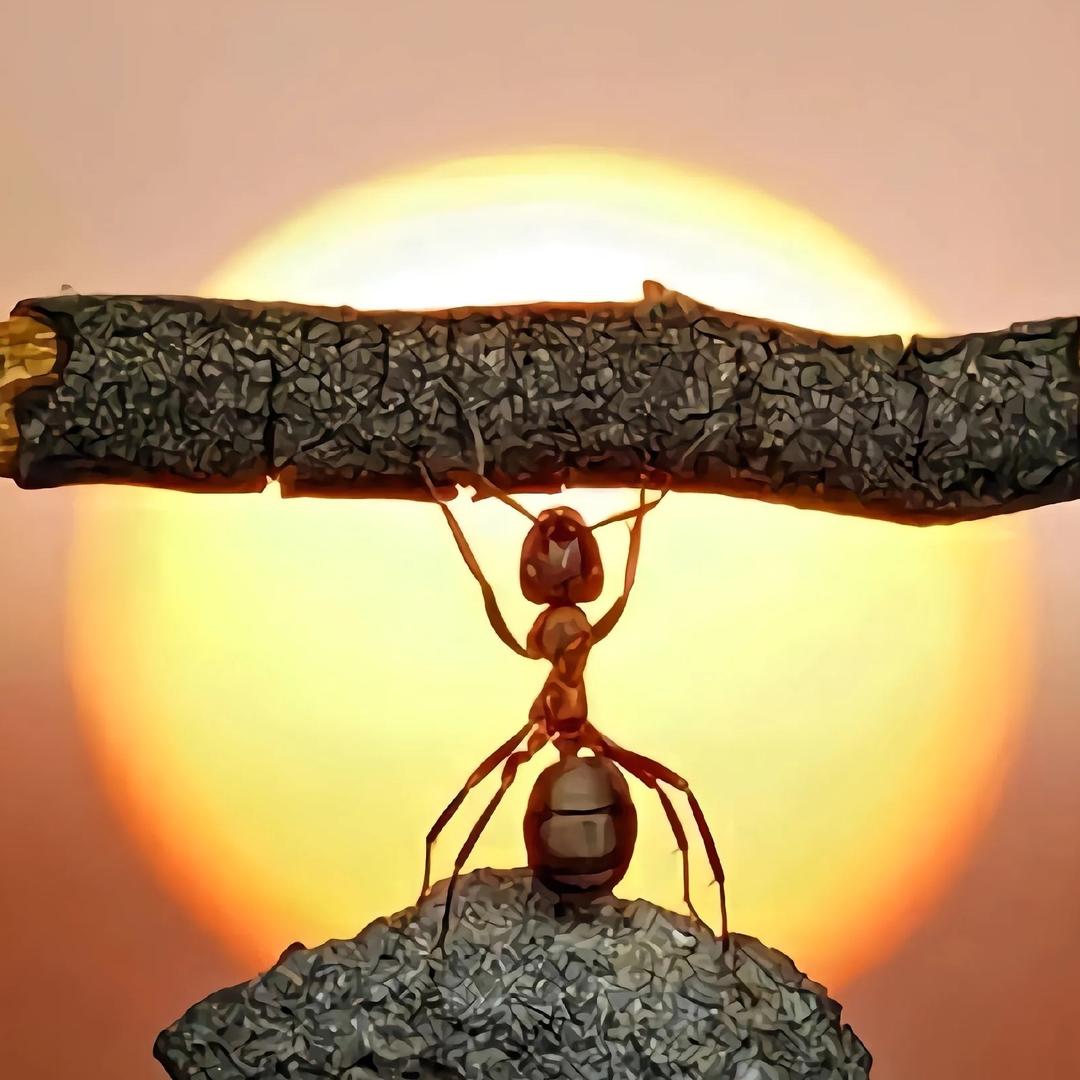 ꫀ 小陈弄丢了 ꪝ