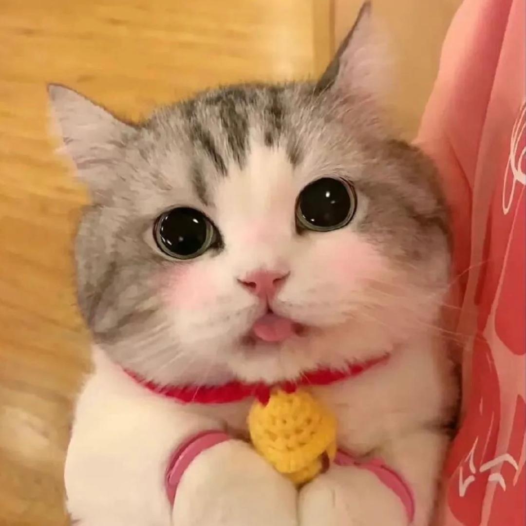 发发发